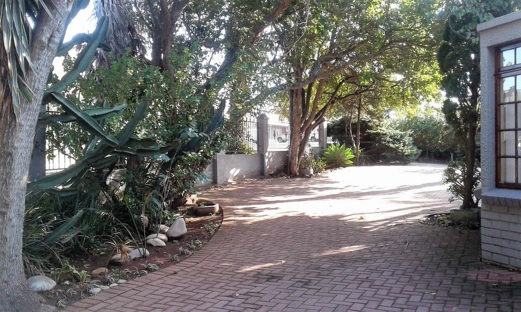 Amanzi Guest House Port Elizabeth Dış mekan fotoğraf
